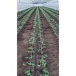 TermoFlow TEAVA APA CALDA INCALZIRE SERE ⦰28  x  100m