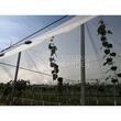 Folie solar difuza  PATI DI LITE 180 microni