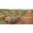 Tub Picurare Rivo 0,85 mm 50 m