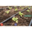 BANDA PICURARE ⦰17 6 mil 20 cm 2,1 lt/h 