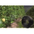 Furtun Picurare Irritec D5