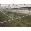 Sistem complet ceata ( Fogger)