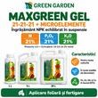 Ingrasamant lichid Fertichem MaxGreen Gel 21 21 21