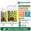 Ingrasamant lichid Fertichem MaxGreen Grow