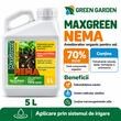 Ingrasamant Lichid Fertichem MaxGreen NEMA
