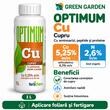 FERTICHEM Cu ( Ingrasamant lichid Cupru Cu ) 1L	