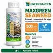 Ingrasamant Lichid cu Alge Marine MAXGREEN Seaweed Fertichem