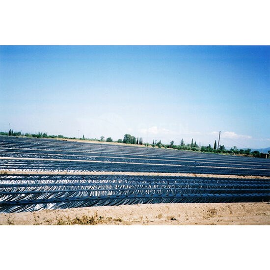 FOLIE MULCH NEAGRA PERFORATA 50 MICRONI 