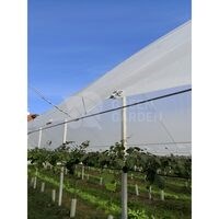 Folie solar difuza  PATI DI LITE 180 microni