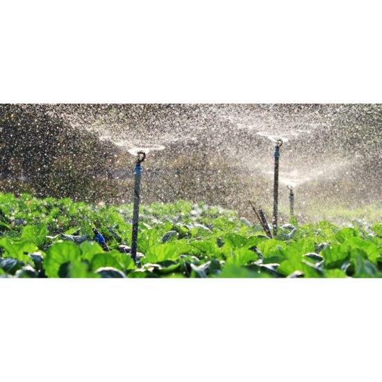 Cere ofertă sistem Irigatii Prin Microaspersie