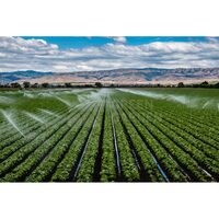 Cere ofertă sistem Irigatii Prin Aspersie Mare