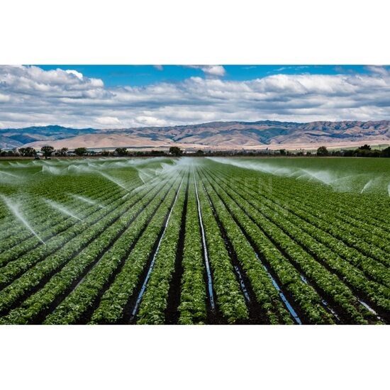 Cere ofertă sistem Irigatii Prin Aspersie Mare