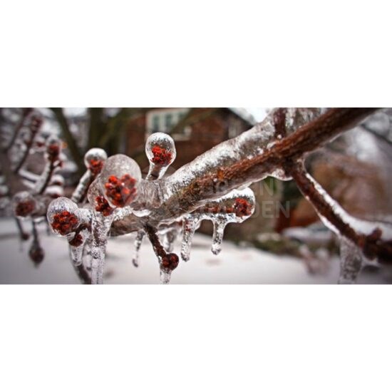 Cere ofertă sistem Anti-inghet