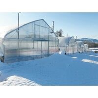 Cere Oferta Sera Atlantic ex