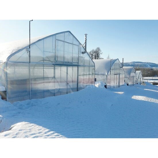 Cere Oferta Sera Atlantic ex