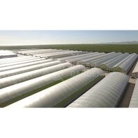 Cere Oferta Sera ATLANTIC EVOLUZIONE