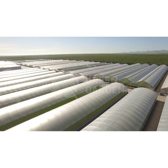 Cere Oferta Sera ATLANTIC EVOLUZIONE