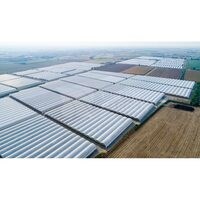 Cere Oferta Sera MULTYHORTUS