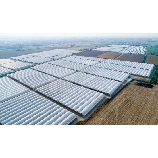 Cere Oferta Sera MULTYHORTUS