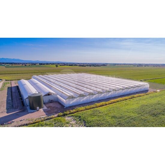 Cere Oferta Sera MULTYATLANTIC EVOLUZIONE