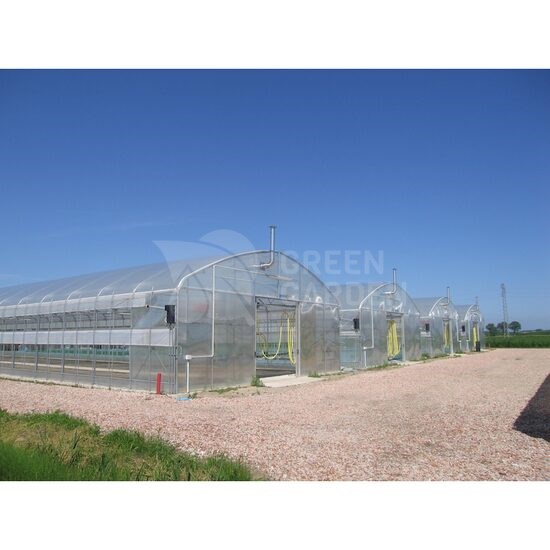 Cere Oferta Sera ATLANTIC TS