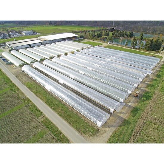 Cere Oferta Sera ORIENTE TS TUNNEL