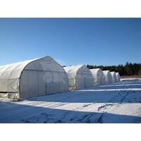 Cere Oferta Sera ORIENTE EX