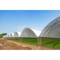 Cere Oferta Sera MULTYTUNNEL