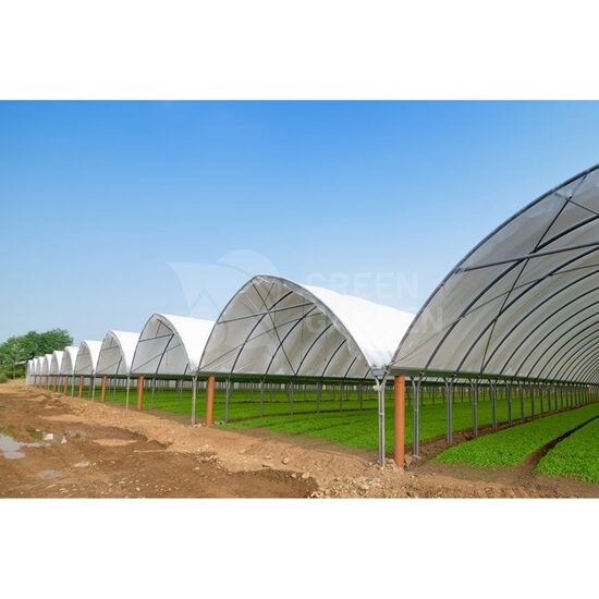 Cere Oferta Sera MULTYTUNNEL