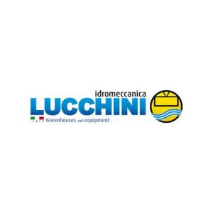 Lucchini