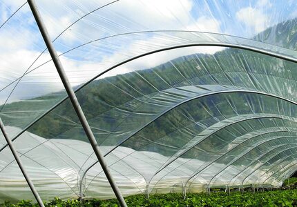 Cum sa alegi folia de solar potrivita pentru solarul tau? 